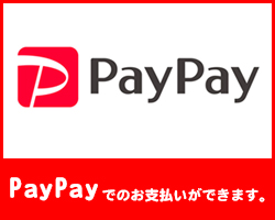 Paypay使えます。